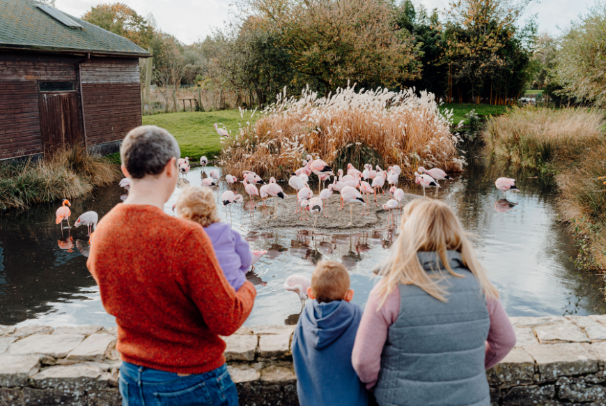 WWT Slimbridge Wetland Centre Named Finalist In National VisitEngland ...